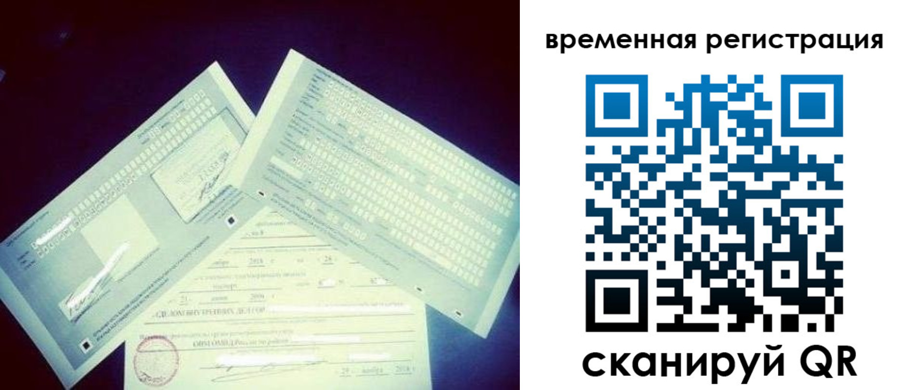 прописка для школы в Курганской области